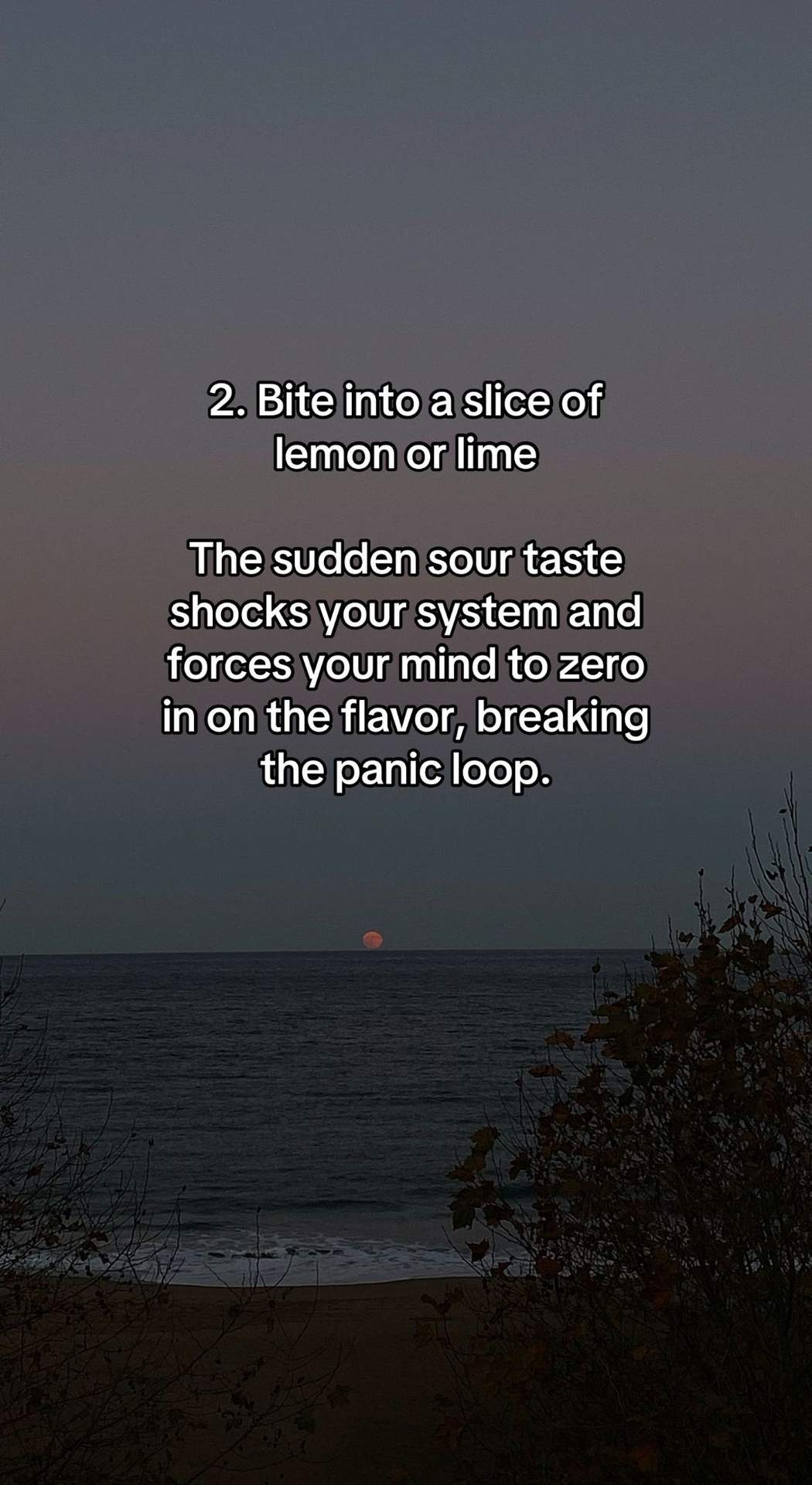 Slide 3