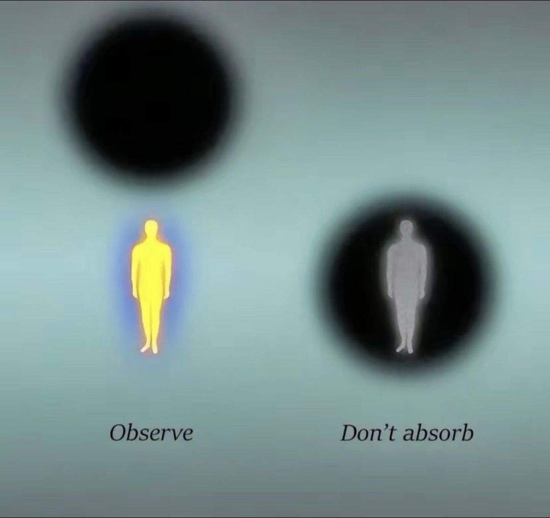 Slide 8