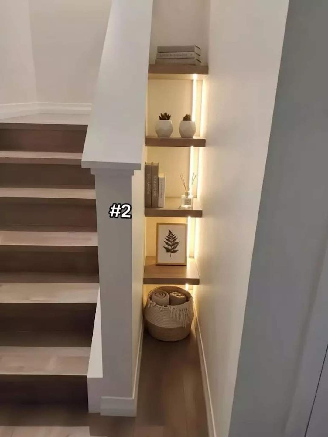 Dia 3