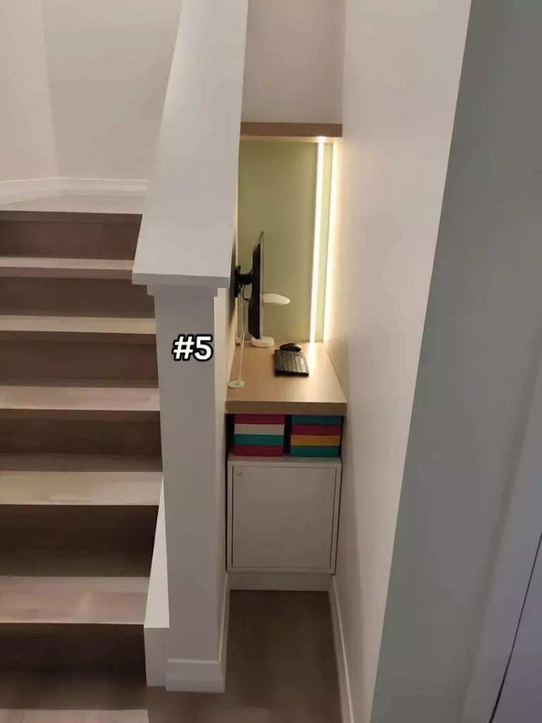 Dia 6