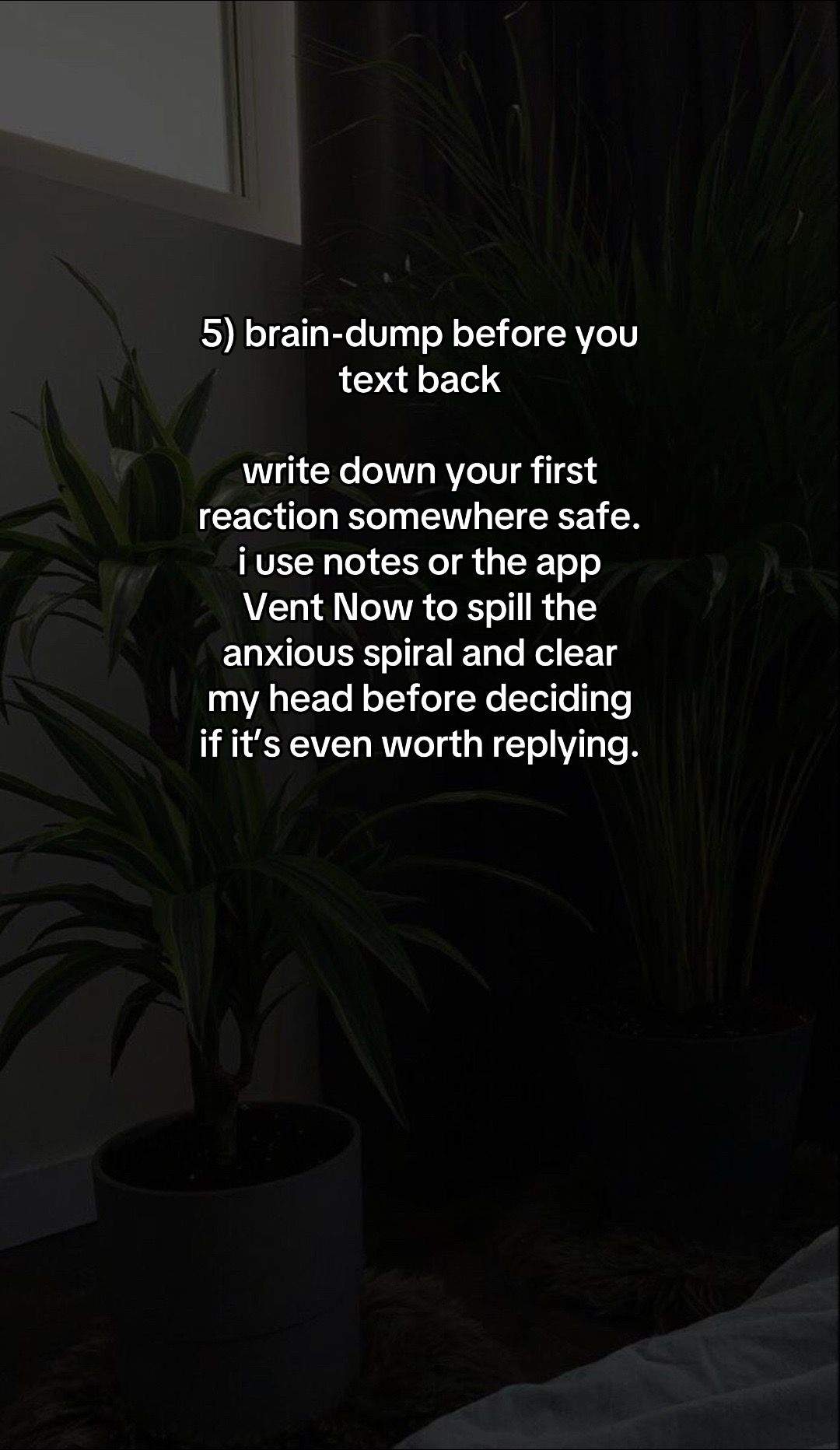 Slide 6