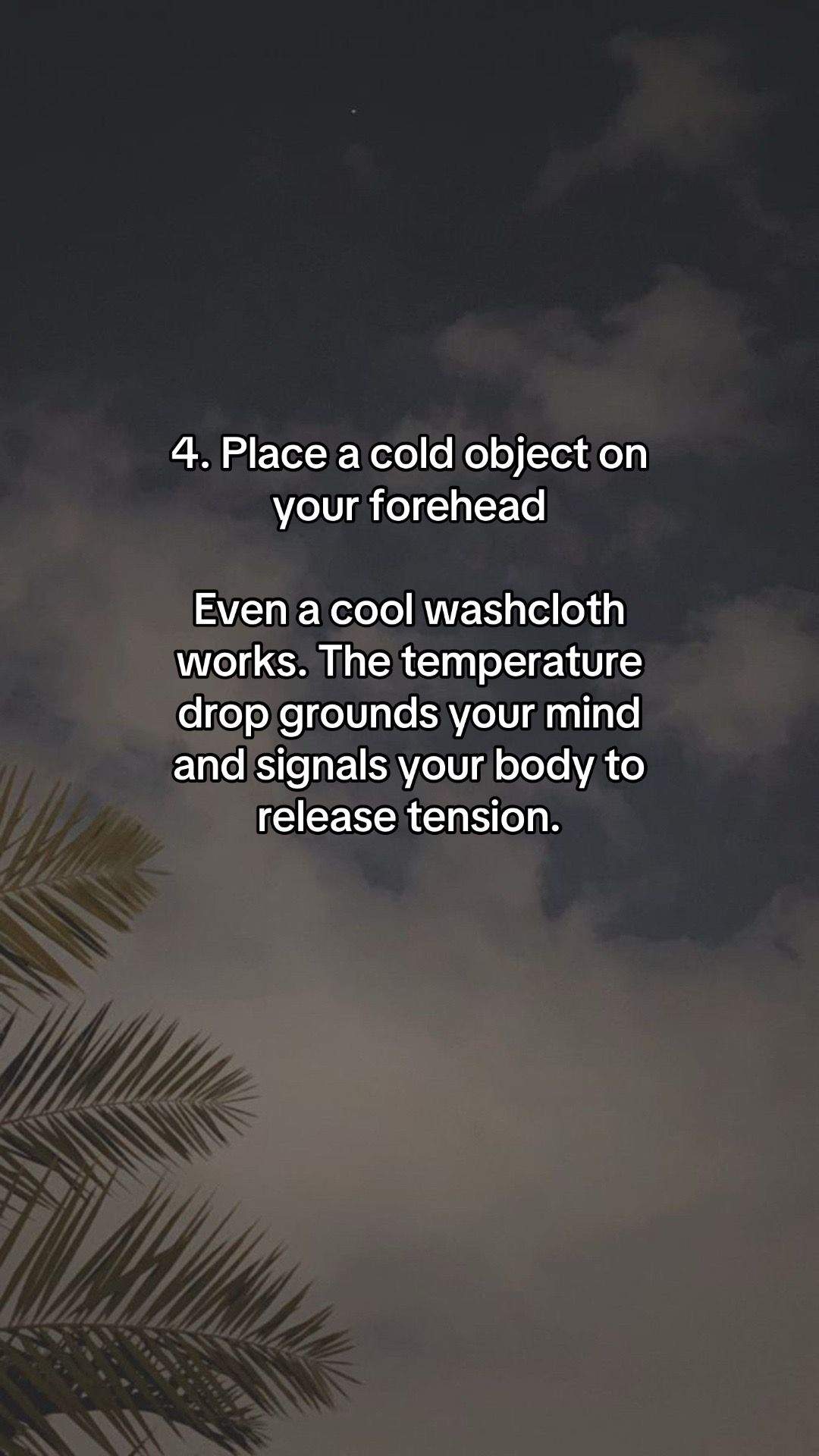 Slide 5